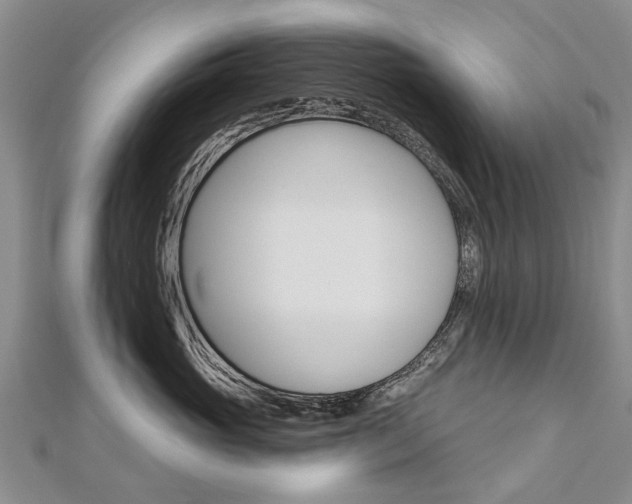 X0000112820765200908211000