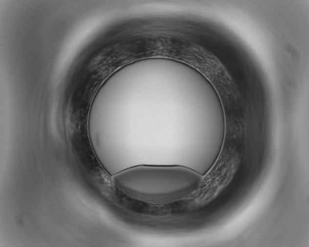 X0000112820766200908211000