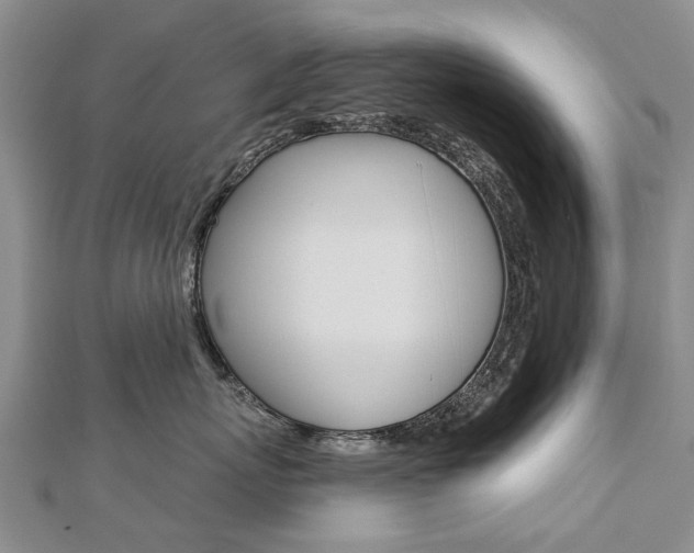 X0000112820767200908211000