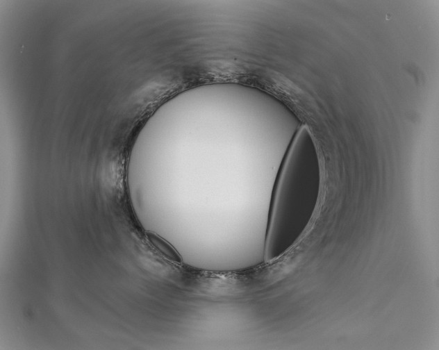 X0000112820768200908211000