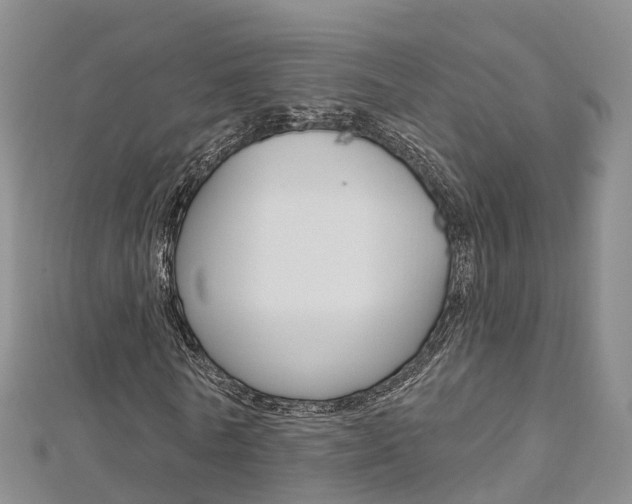 X0000112820770200908210959