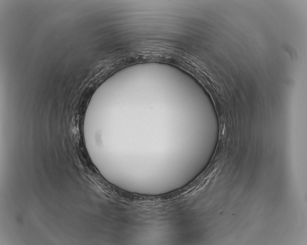 X0000112820771200908210959