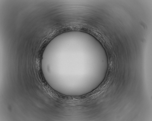 X0000112820772200908210959