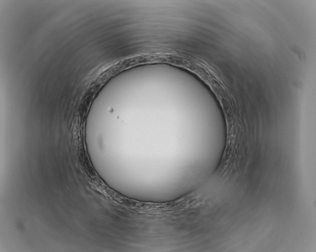 X0000112820773200908210959