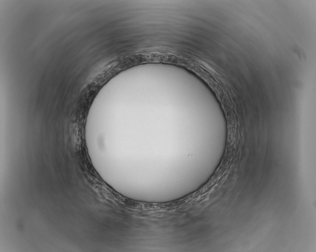 X0000112820774200908210959