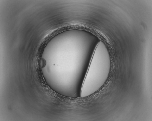 X0000112820776200908210959