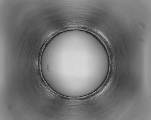 X0000112820777200908210959