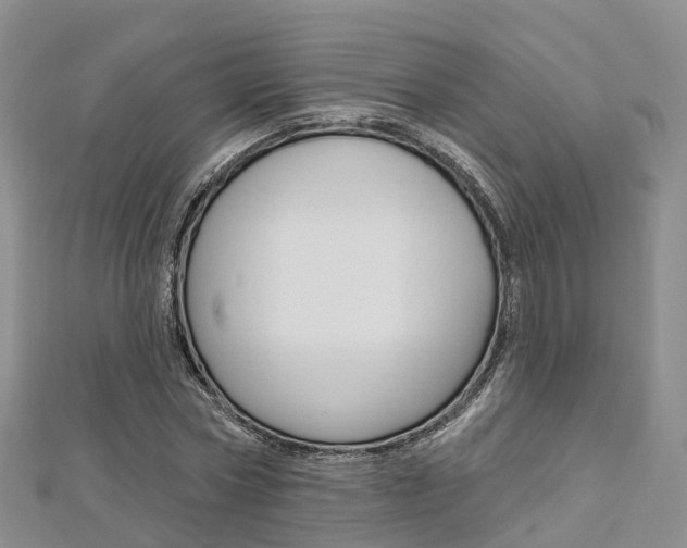 X0000112820778200908210959