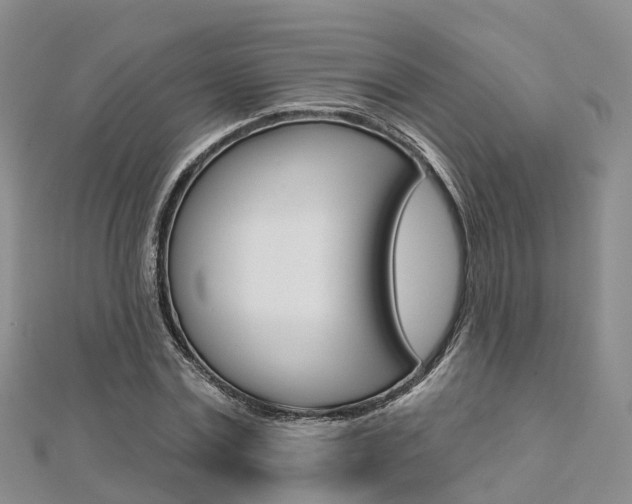 X0000112820779200908210959