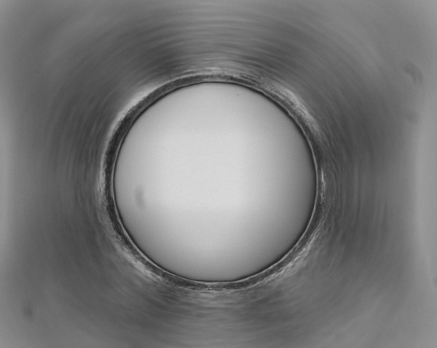 X0000112820780200908210959