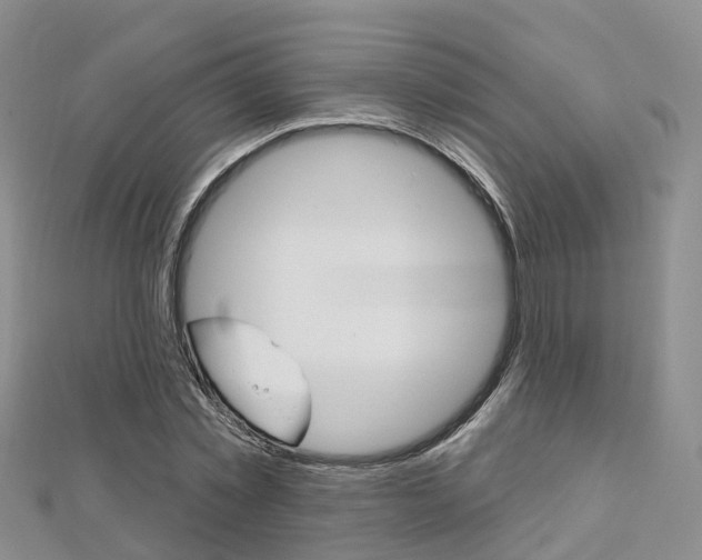 X0000112820781200908210959