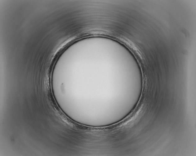 X0000112820782200908210959