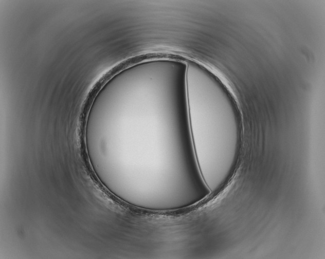 X0000112820783200908210959