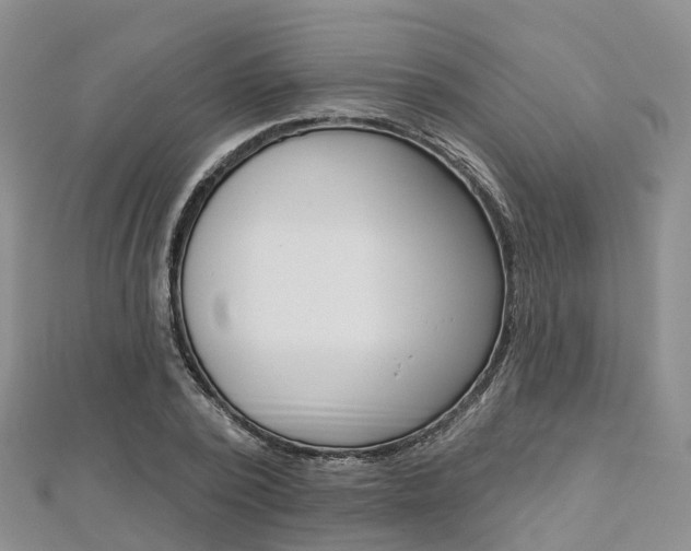 X0000112820784200908210959