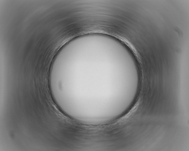 X0000112820785200908210959