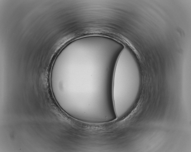 X0000112820786200908210959