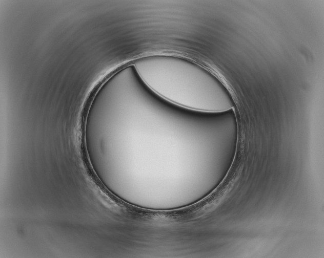 X0000112820787200908210959