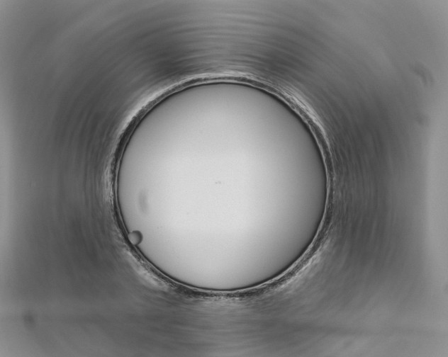 X0000112820789200908210959