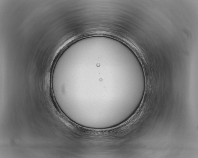 X0000112820790200908210959