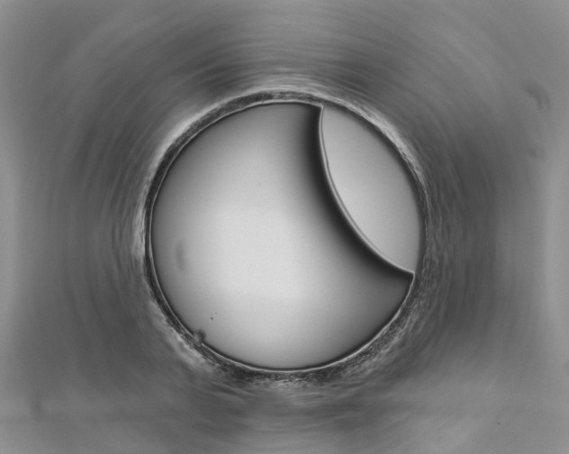 X0000112820791200908210959