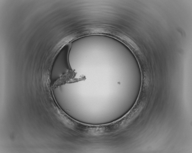 X0000112820793200908210959