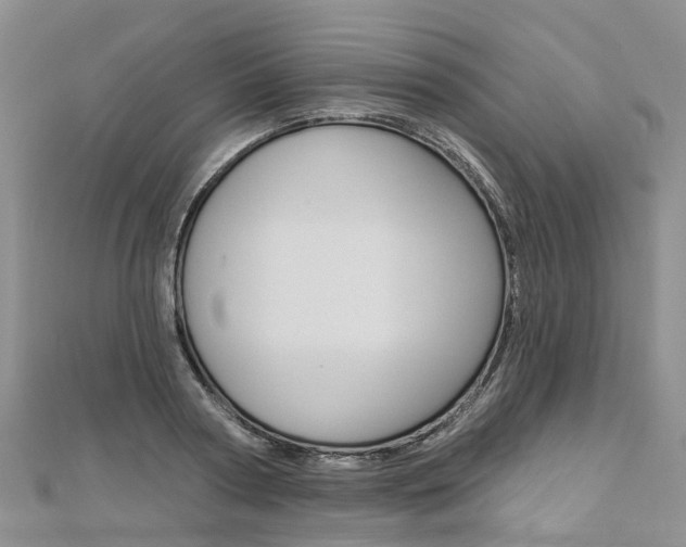 X0000112820794200908210959