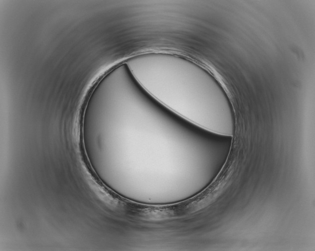 X0000112820795200908210959