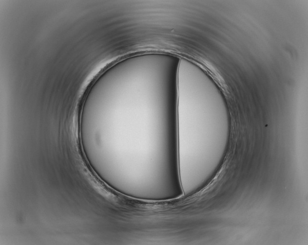 X0000112820796200908210959