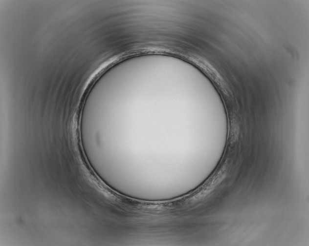 X0000112820798200908210959