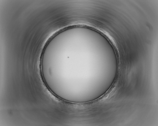 X0000112820799200908210959