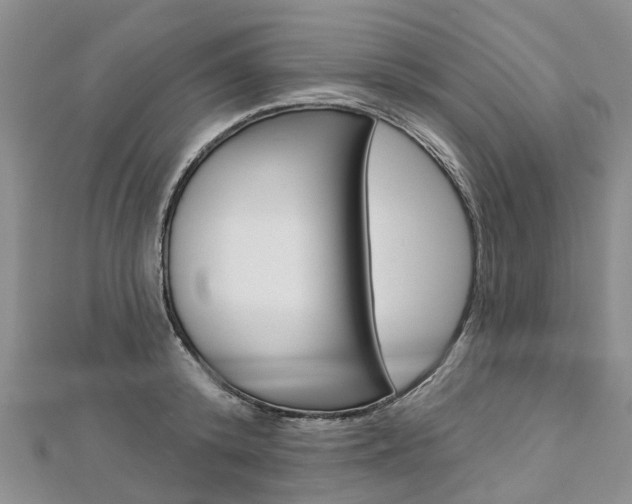 X0000112820800200908210959