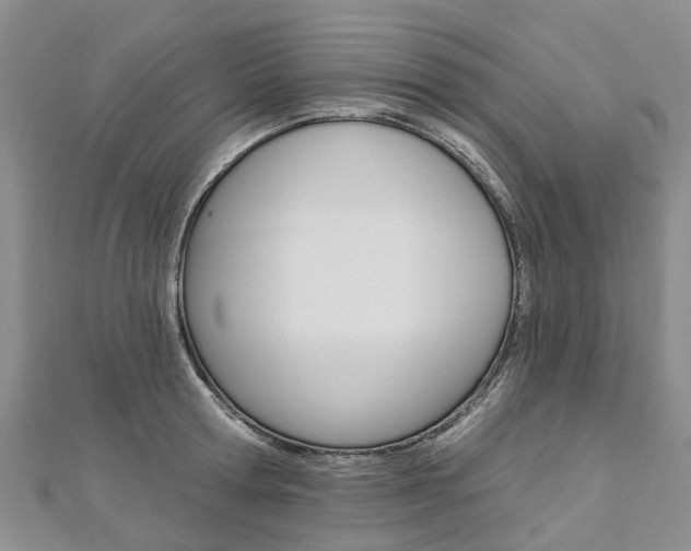X0000112820802200908210959