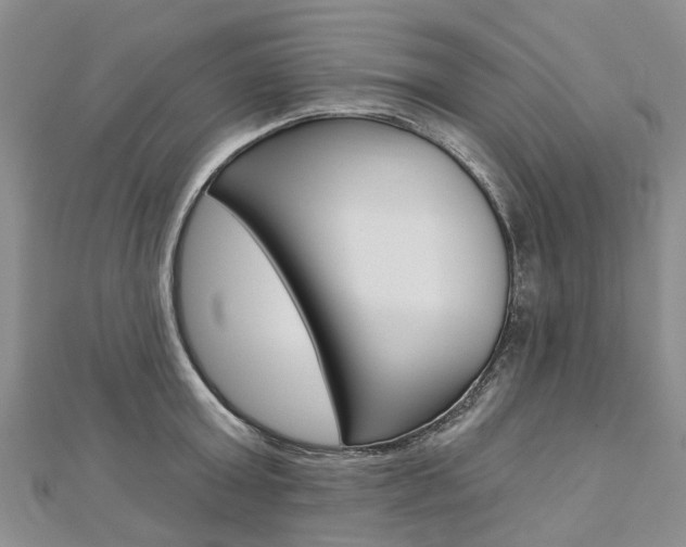 X0000112820803200908210959