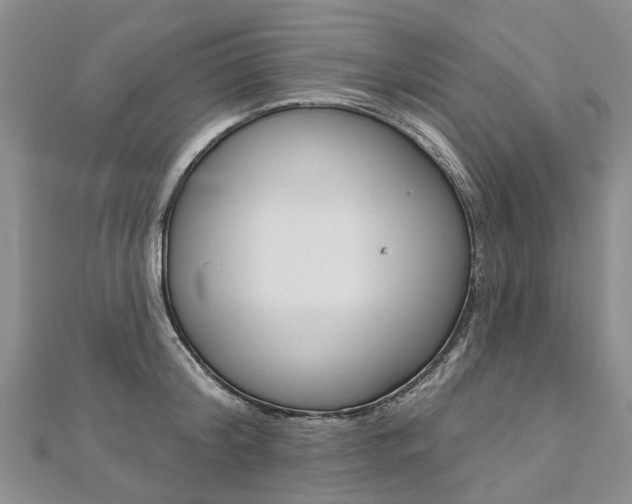 X0000112820804200908210959
