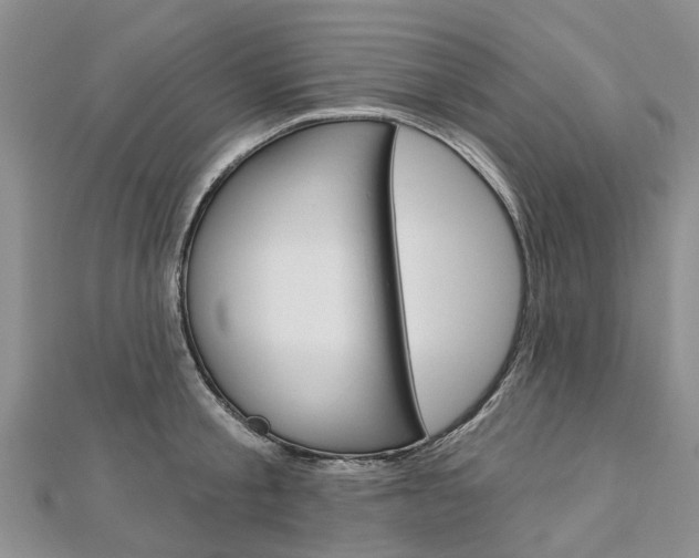 X0000112820805200908210959