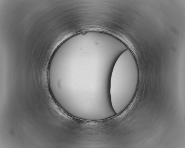 X0000112820806200908210959