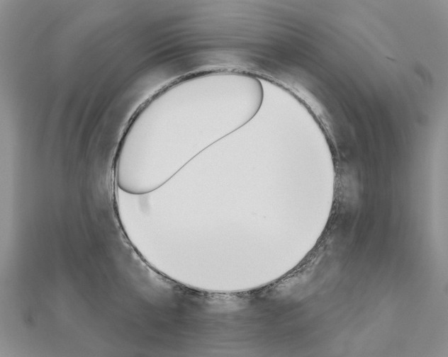 X0000112820807200908210959
