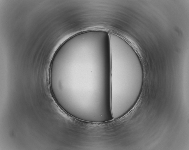 X0000112820808200908210959