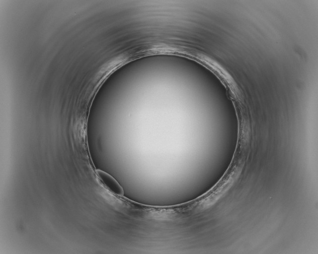 X0000112820809200908210959