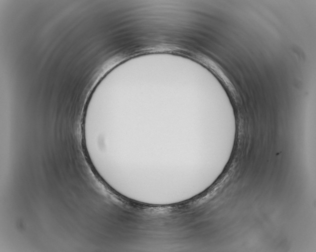 X0000112820810200908210959