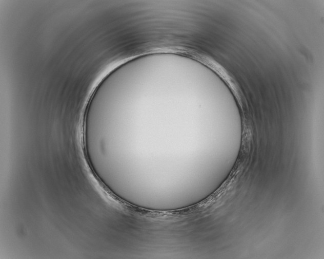 X0000112820811200908210959