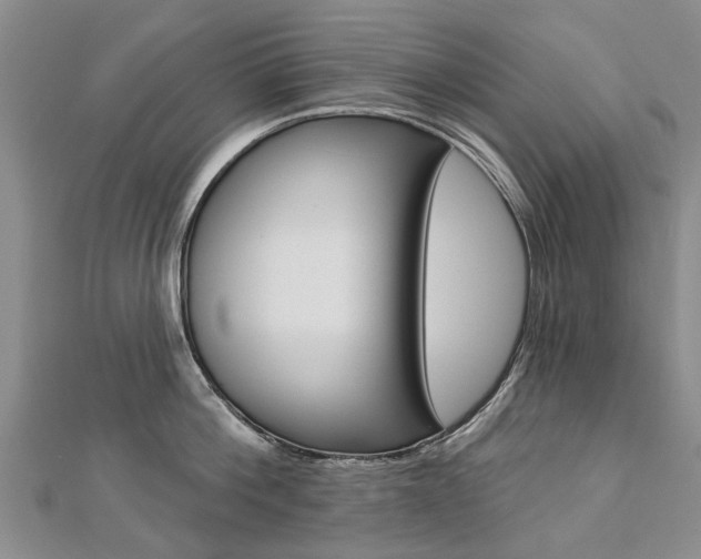 X0000112820812200908210959