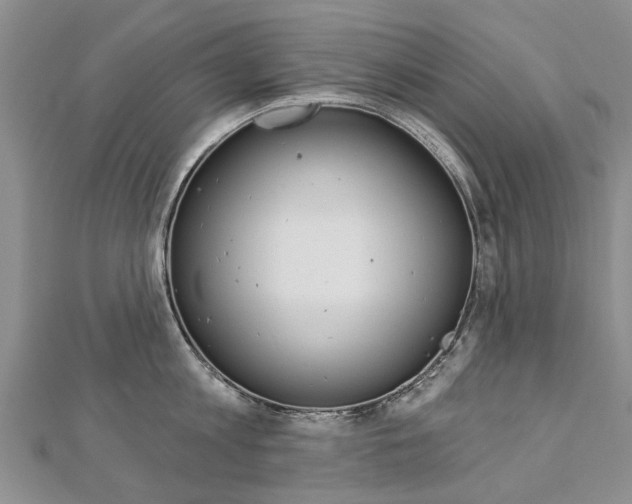 X0000112820813200908210959