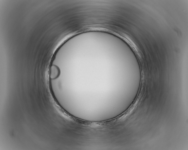 X0000112820814200908210959