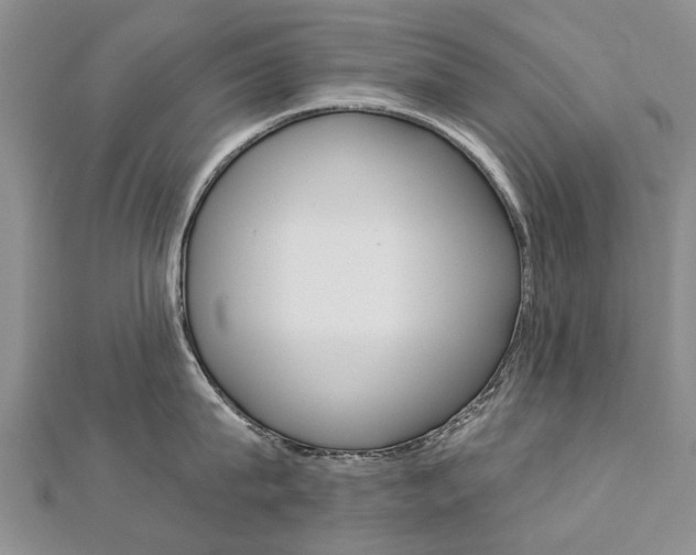 X0000112820815200908210959