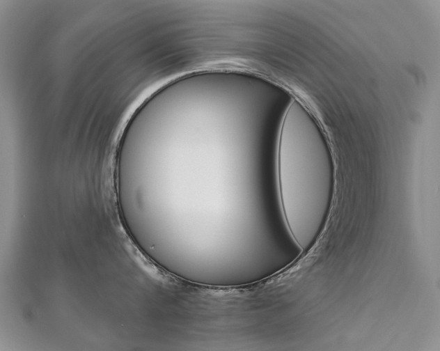 X0000112820816200908210959