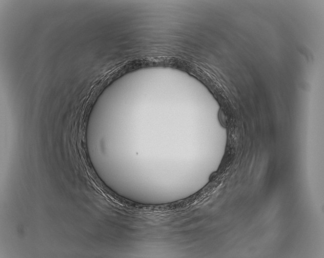 X0000112820817200908210958