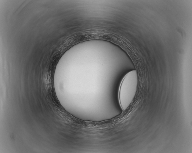 X0000112820818200908210958