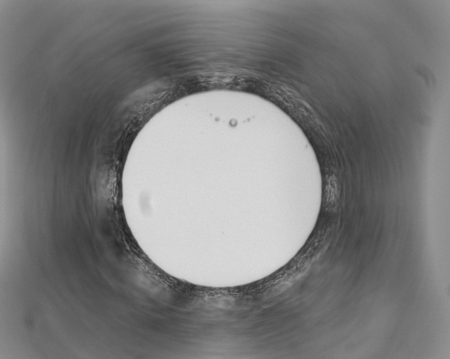 X0000112820820200908210958