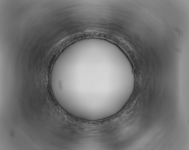 X0000112820821200908210958